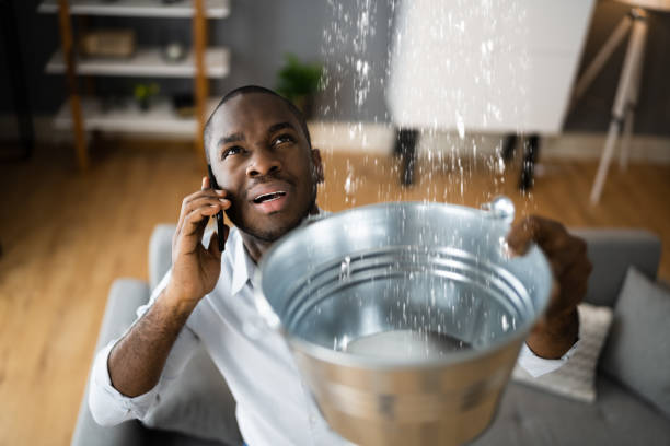 Best Local water damage restoration  in Springdale, SC