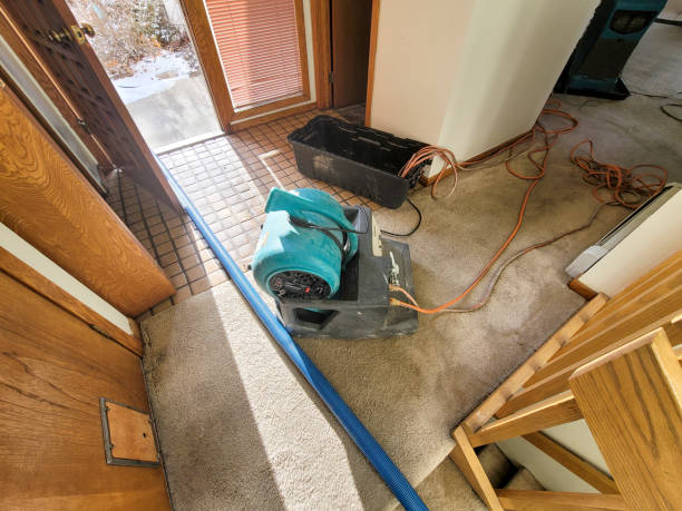 Best 24-hour water damage restoration  in Springdale, SC