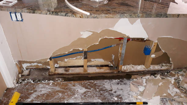 Best Carpet water damage restoration  in Springdale, SC