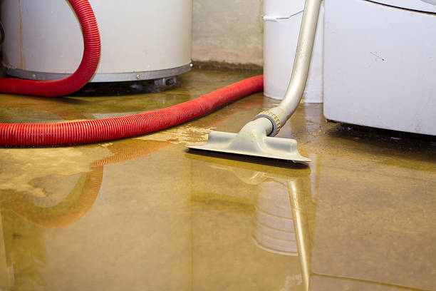 Best Emergency water damage restoration  in Springdale, SC