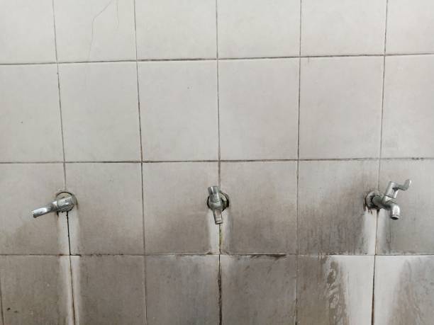 Reliable SC Water damage restoration Solutions